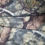 PS1/N5RR7-1 2022 New Product Printed 100D Poly Spandex Fabric with 3 layer Laminated with Poly Fleece